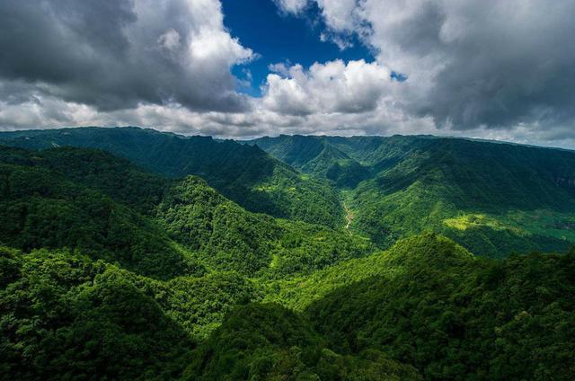 万源实施天保二十载 抒写绿色巴山新画卷