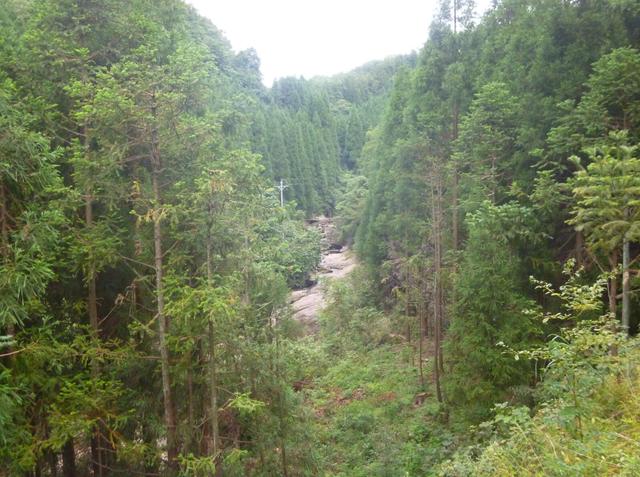 万源实施天保二十载 抒写绿色巴山新画卷