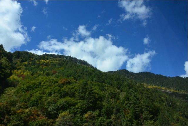 万源实施天保二十载 抒写绿色巴山新画卷